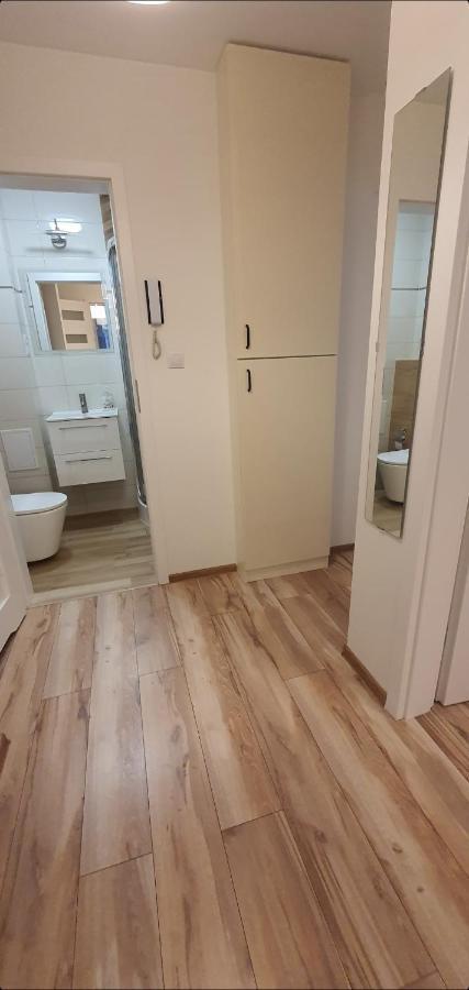 פולניסה-ז'דוז' Apartament Lakowa מראה חיצוני תמונה