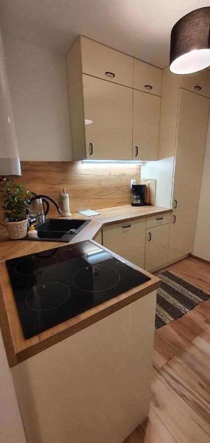 פולניסה-ז'דוז' Apartament Lakowa מראה חיצוני תמונה