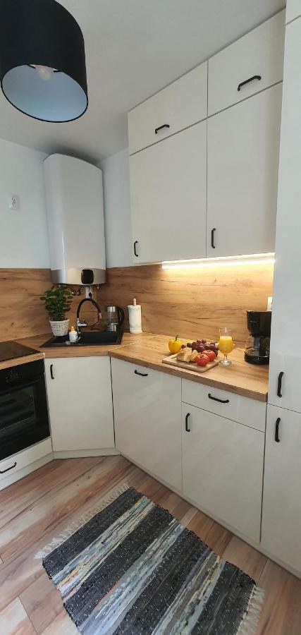 פולניסה-ז'דוז' Apartament Lakowa מראה חיצוני תמונה